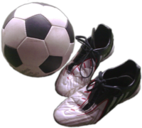 Partner im Sport